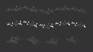 黑白浪漫时尚婚礼花卉植物条图案展示视频的预览图